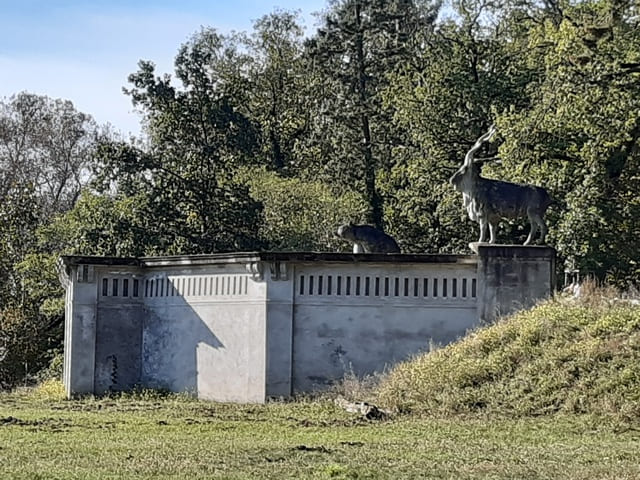 Tontaubenschießstand
