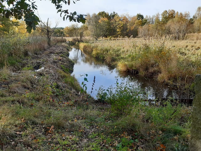 Plauer Schleusengraben