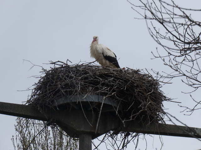 Besucher auf dem Bieligkhof