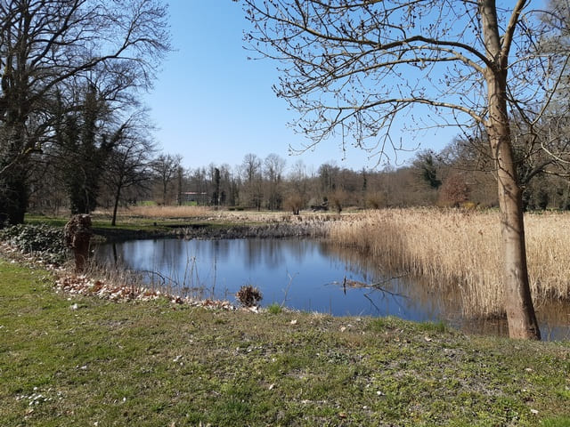 Schlosspark