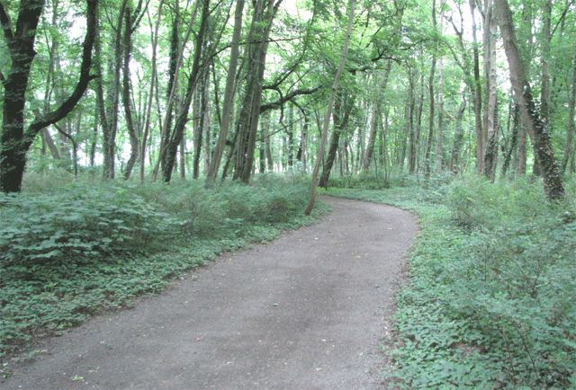 ehemaliger Schlosspark