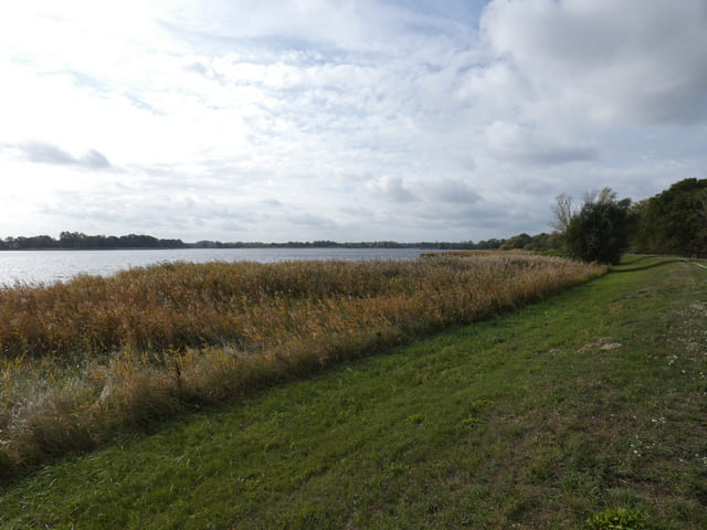 Hohennauener See bei Wassersuppe