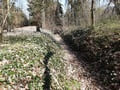 Schlosspark