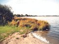 Hohennauener See