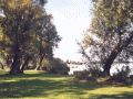 Hohennauener See