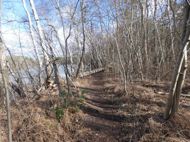 Kleiner Tonteich - Ostufer