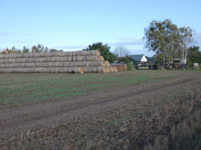 Am westlichen Ortseingang Falkenhain