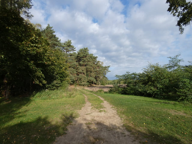 Landschaft bei Hubertushöhe