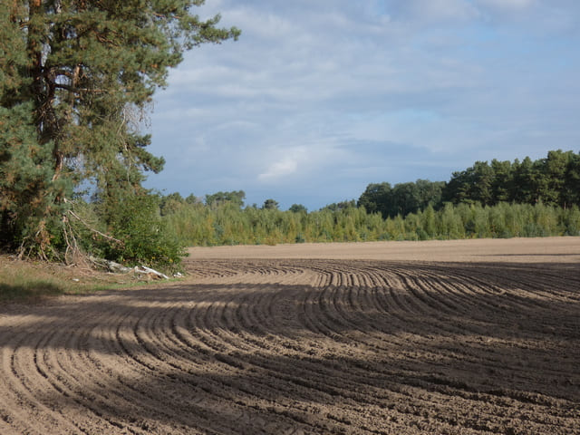 Landschaft bei Hubertushöhe