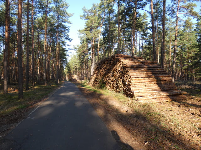 Springseeweg