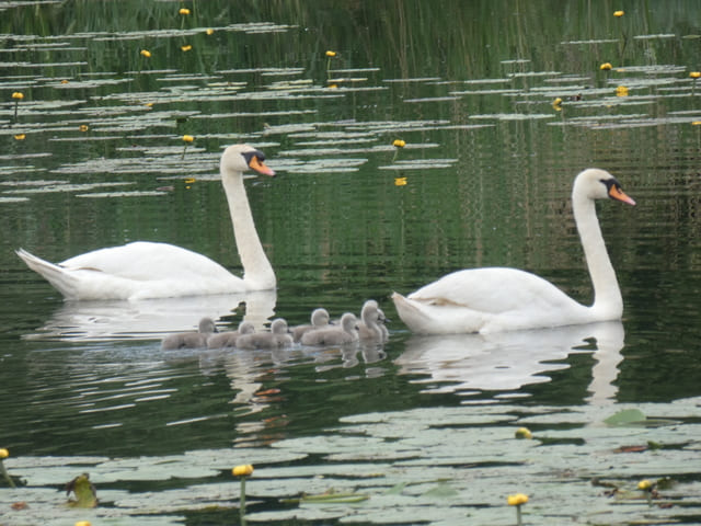 Familienausflug