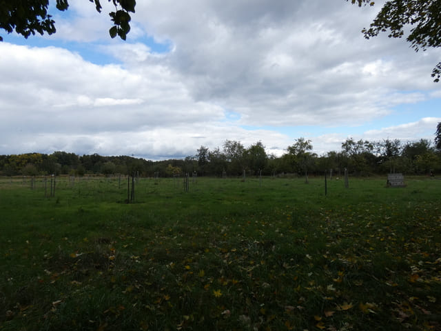 Minister-Sortengarten