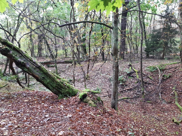 Ehemaliger Simon-Stollen