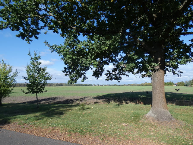 Landschaft zwischen Hubertushöhe und Storkow