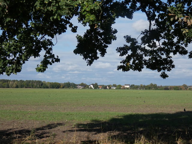 Landschaft zwischen Hubertushöhe und Storkow