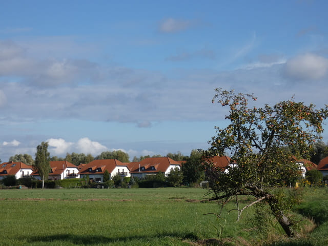 Wohnsiedlung unweit des Großen Storkower Sees