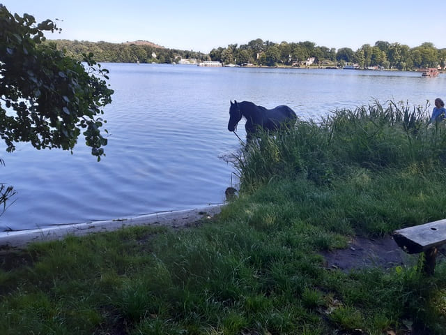 Wassergymnastik am Flakensee