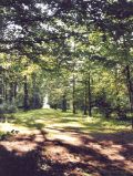Schlosspark Ragow