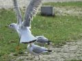 Besuch in Woltersdorf
