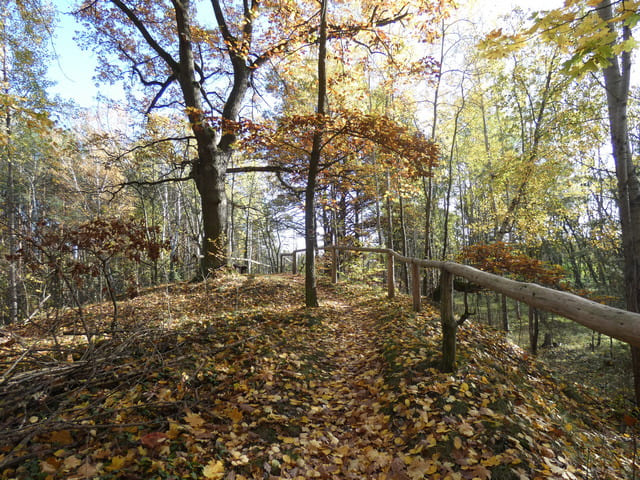 Geologischer Lehrpfad Altranft