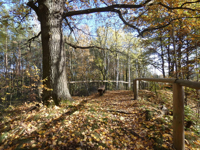 Geologischer Lehrpfad Altranft