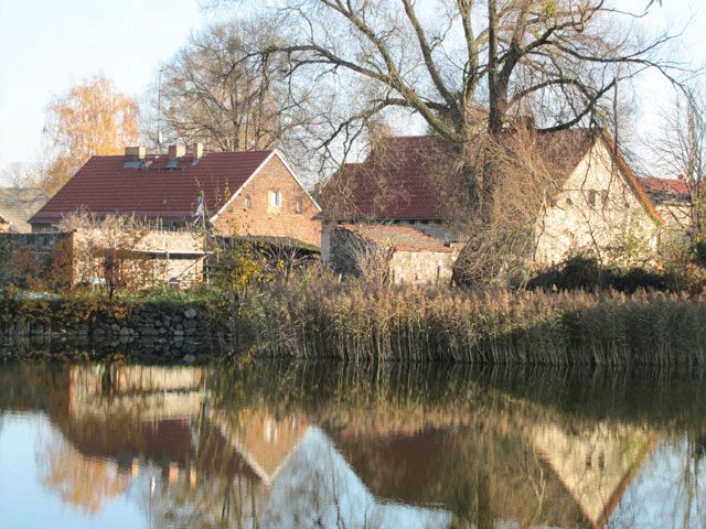 Spiegelungen am Teich