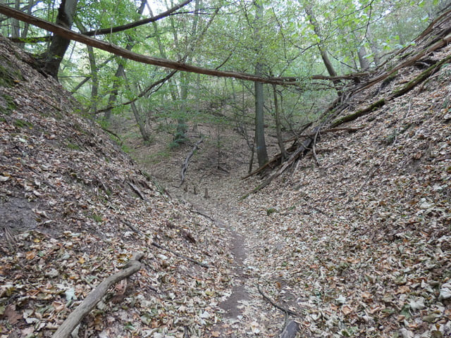 Wolfsschlucht