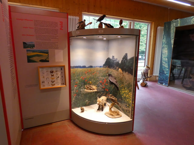 Naturpark Besucherzentrum Schweizer Haus, Innenansicht