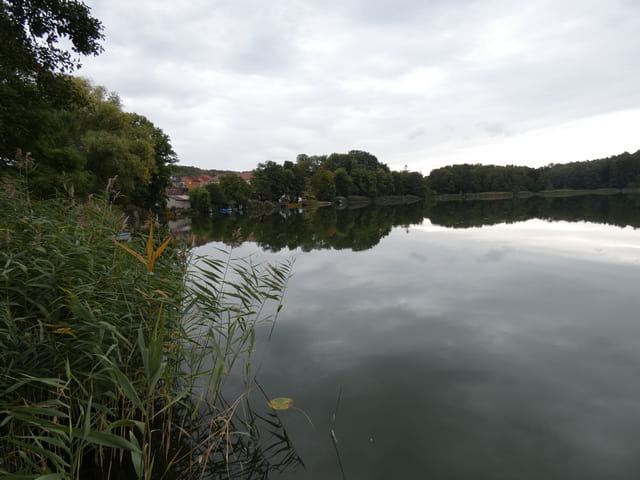 Buckowsee