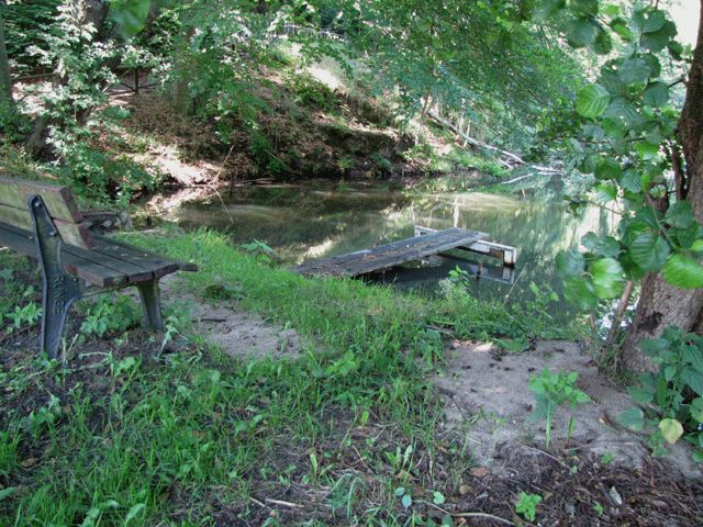 Mühlenteich an der Rothe Mühle