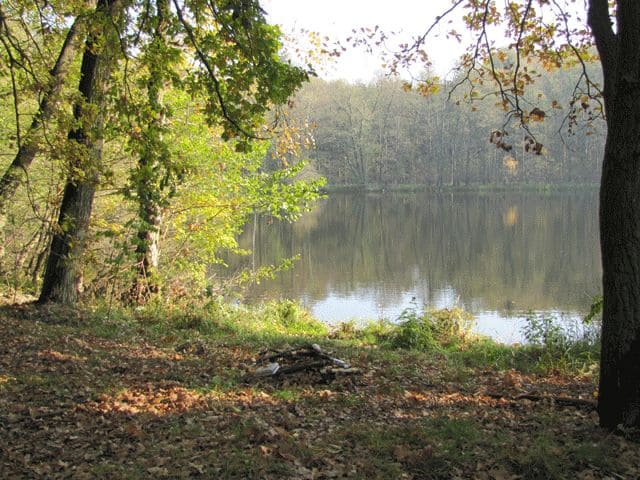 Bauer See zwischen Lapnower Mühle und Eichendorfer Mühle