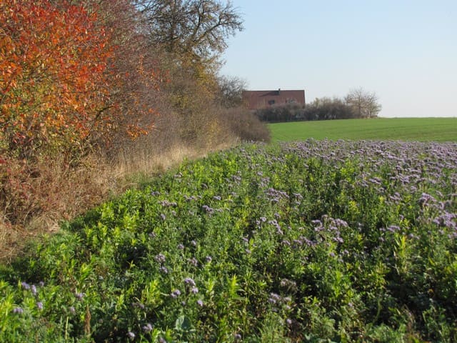 Landschaft bei Liebenhof