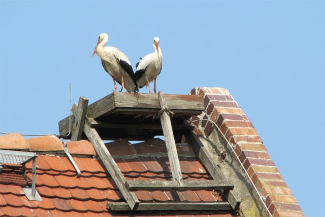 Besucher in Lietzen