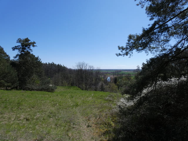 Blick auf die Wriezener Alte Oder