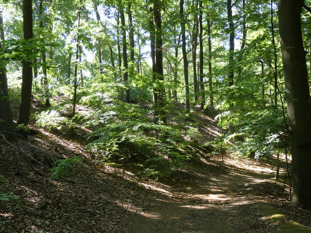 Wanderweg zum Baasee