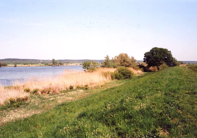 An der Oder