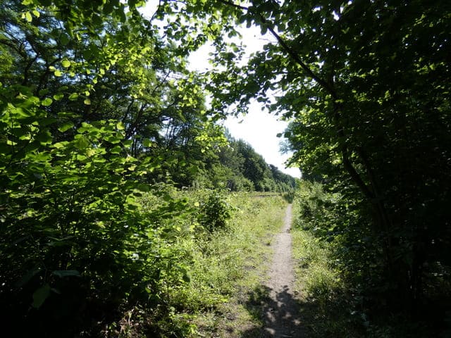 Rundwanderweg um das NSG Lange Dammwiesen<BR />An der Bahnstrecke Berlin - Küstrin