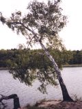 Bötzsee