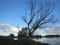 An der Oder