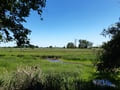 Alte Oder