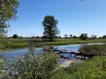 Alte Oder