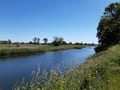 Alte Oder