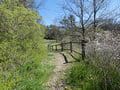 Wanderweg von Schiffmühle nach Neutornow
