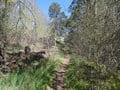 Wanderweg von Schiffmühle nach Neutornow