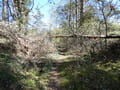Wanderweg von Schiffmühle nach Neutornow