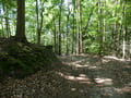 Wanderweg zum Baasee