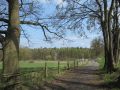 Weg zum Wasserturm