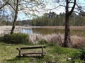 Bullenwiese