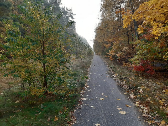 Weg vom S-Bhf. Richtung Briesetal