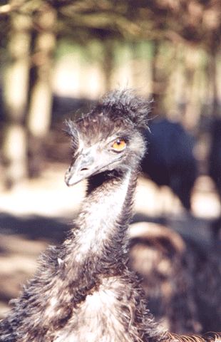 Tier- und Freizeitpark